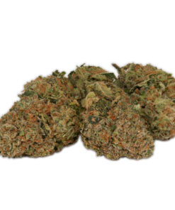 Buy Zkittlez Glue Online in the US